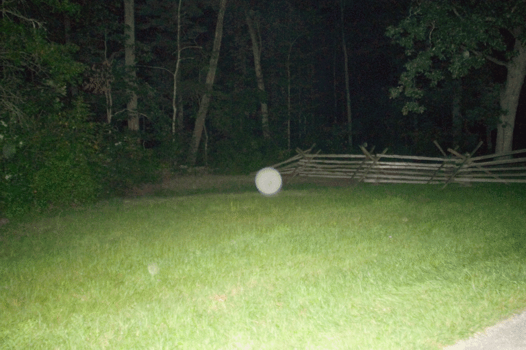 A rural night scene with a grassy field, wooden fence, and dense forest in the background, illuminated by a bright flash. Perfect for showcasing outdoor rural landscapes and nighttime nature photography.
